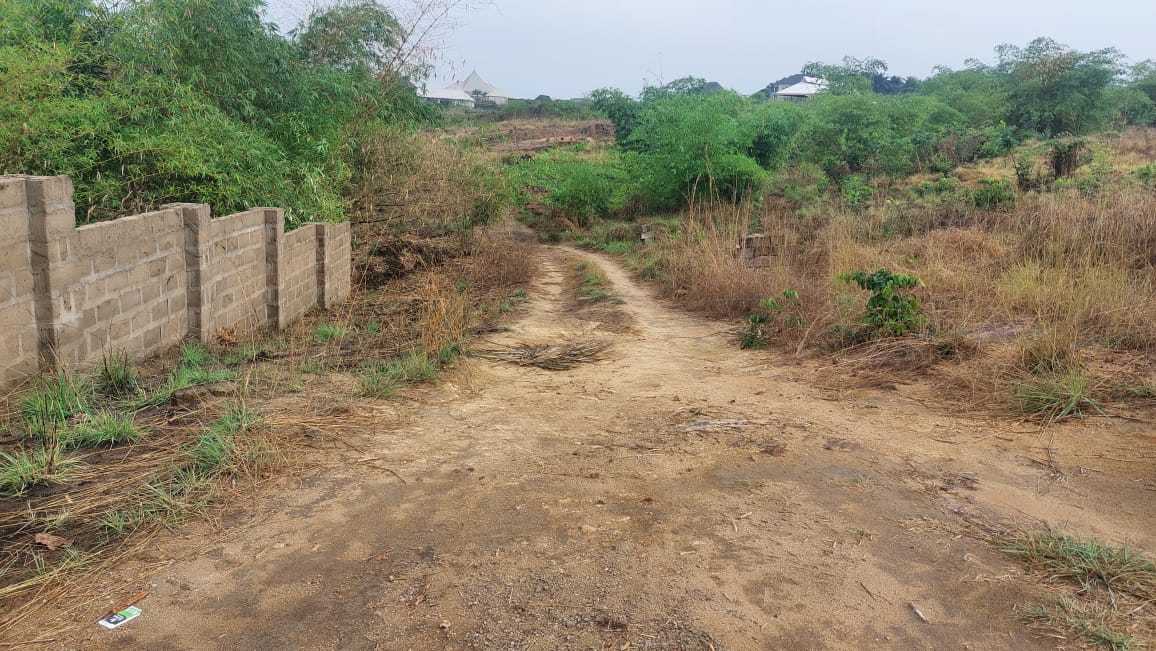 Transit Highway Construction (Phase 2)