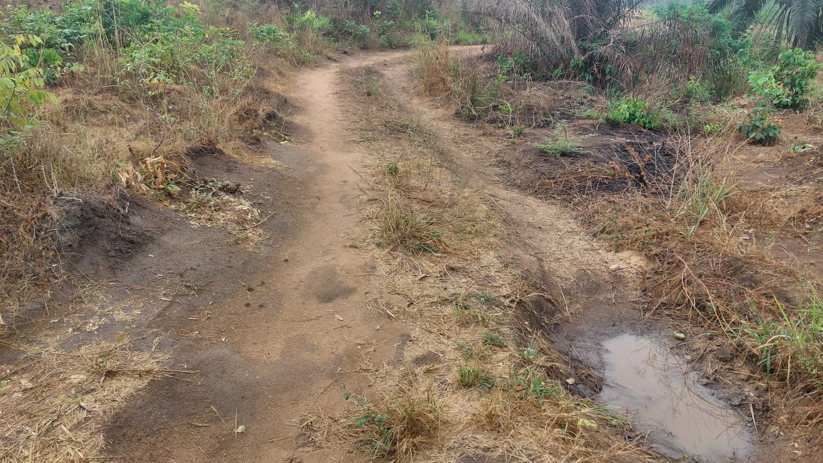 Pre-Construction Erosion Site (Phase 4)