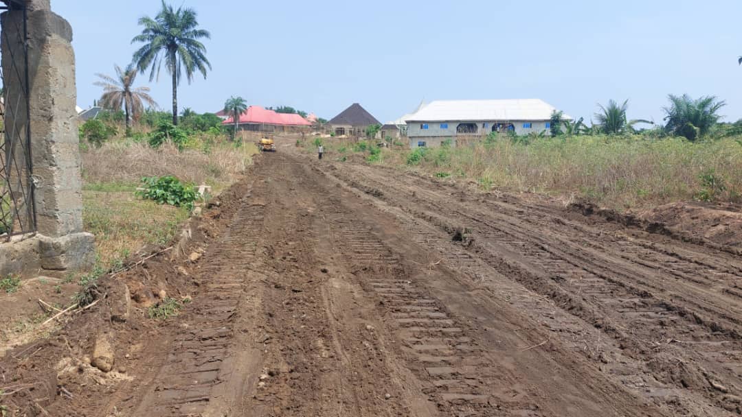 Transit Highway Construction (Phase 8)